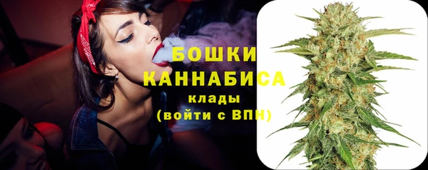 тгк Богородск