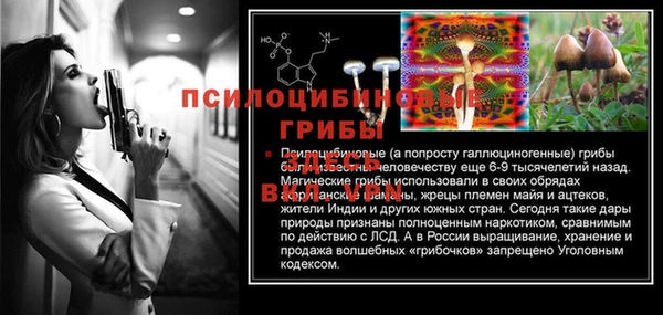 наркотики Богданович