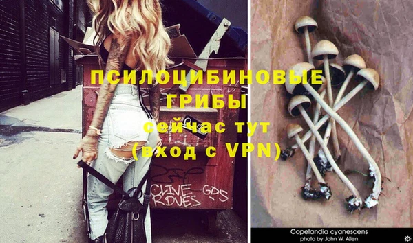 мдпв Балабаново