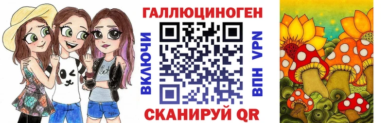 Псилоцибиновые грибы Cubensis  кракен как зайти  Вязники  купить наркотики сайты 